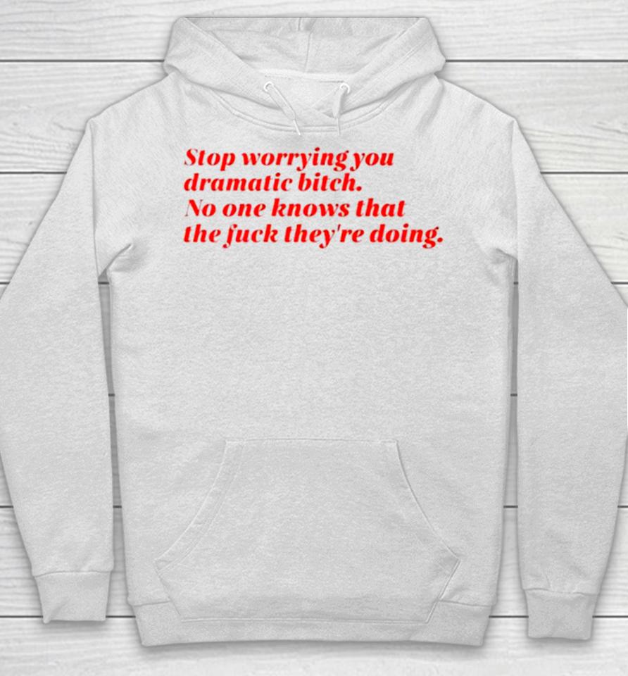 Stop Worrying You Dramatic Bitch No One Knows What The Fuck They’re Doing Hoodie