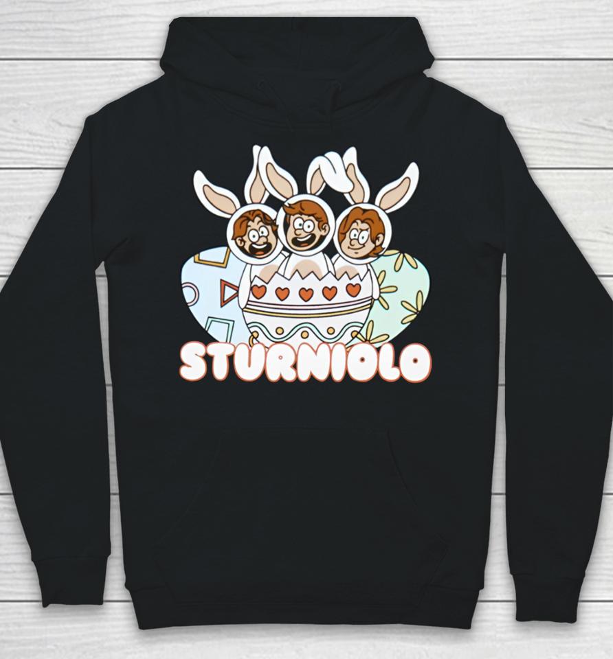 Sturnioloclothing Store Let's Trip Sturniolo Easter Hoodie