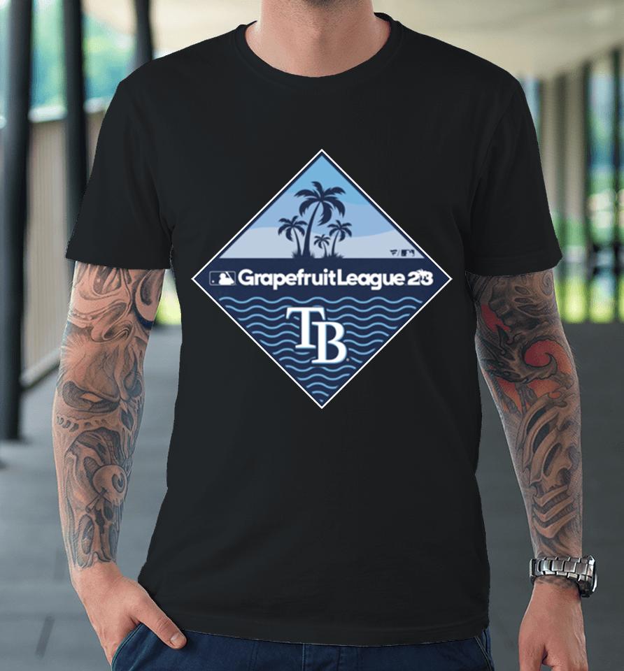 Tampa Bay Rays Fanatics Branded 2023 Mlb Spring Training Diamond Premium T-Shirt