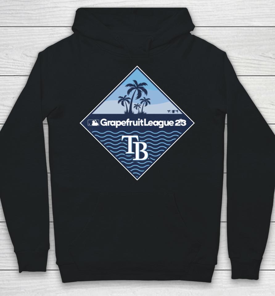 Tampa Bay Rays Fanatics Branded 2023 Mlb Spring Training Diamond Hoodie