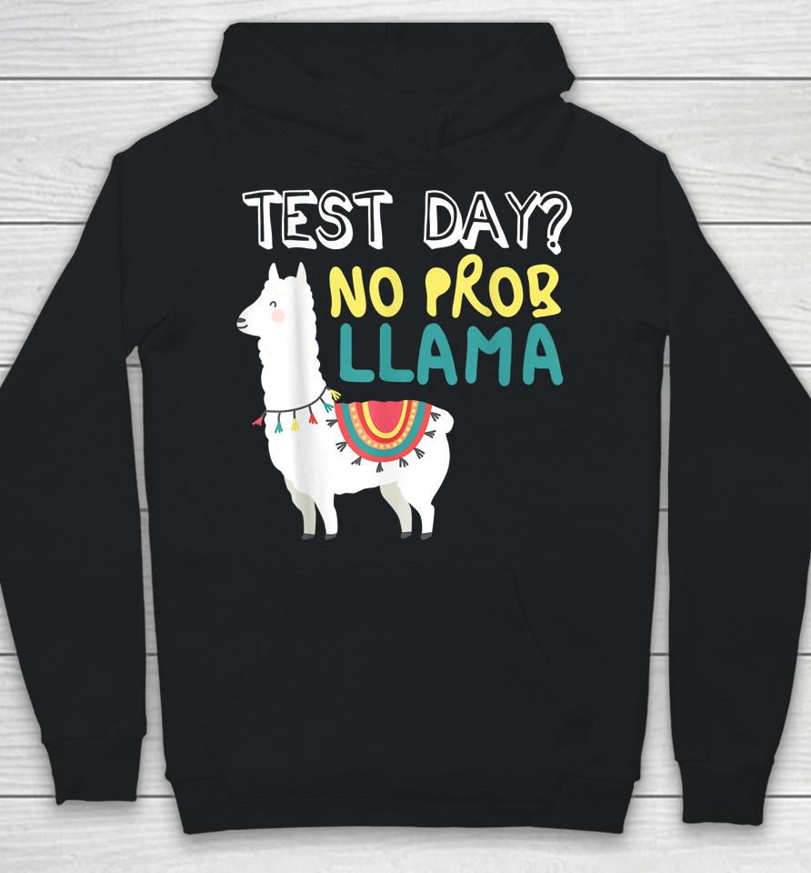 Test Day Llama Teacher Exam Testing Teaching Funny Hoodie