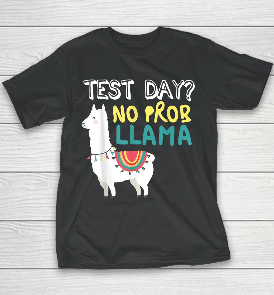 Test Day Llama Teacher Exam Testing Teaching Funny Youth T-Shirt