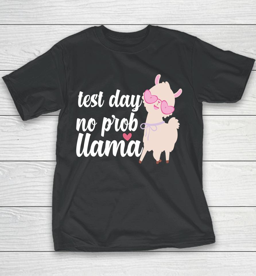 Test Day No Prob Llama Youth T-Shirt