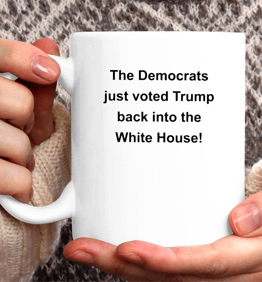 The Democrats Just Voted Trump Back Into The White House Coffee Mug