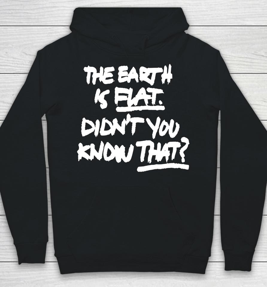 The Earth Is Flat Didn't You Know That Hoodie