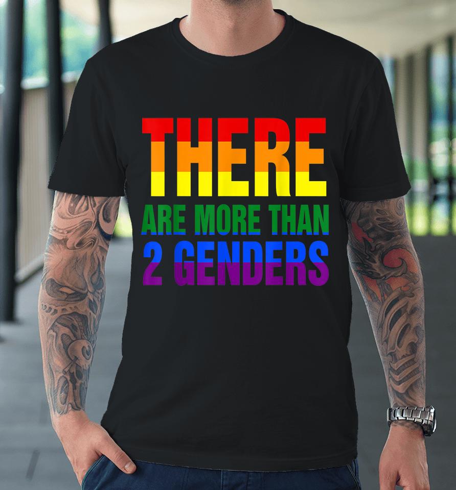 There Are More Than 2 Genders Lgbt Flag Premium T-Shirt