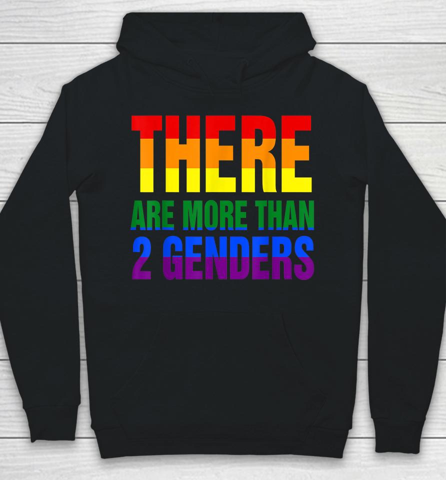 There Are More Than 2 Genders Lgbt Flag Hoodie