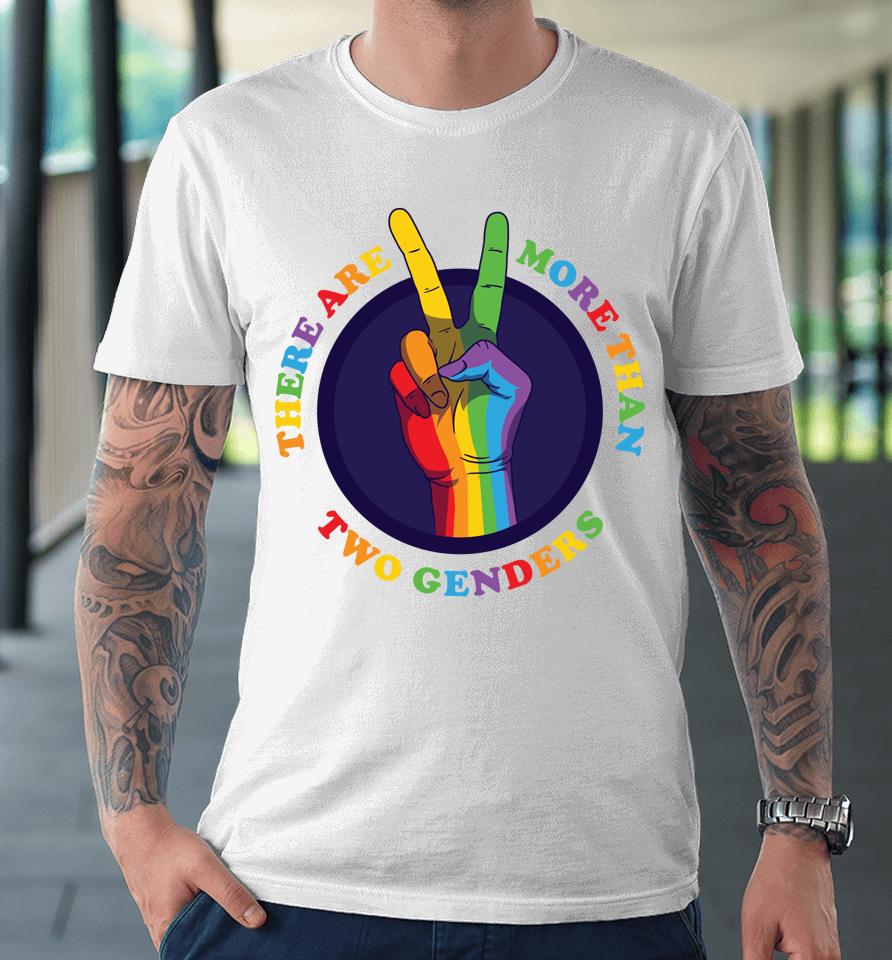 There Are More Than Two Genders Premium T-Shirt