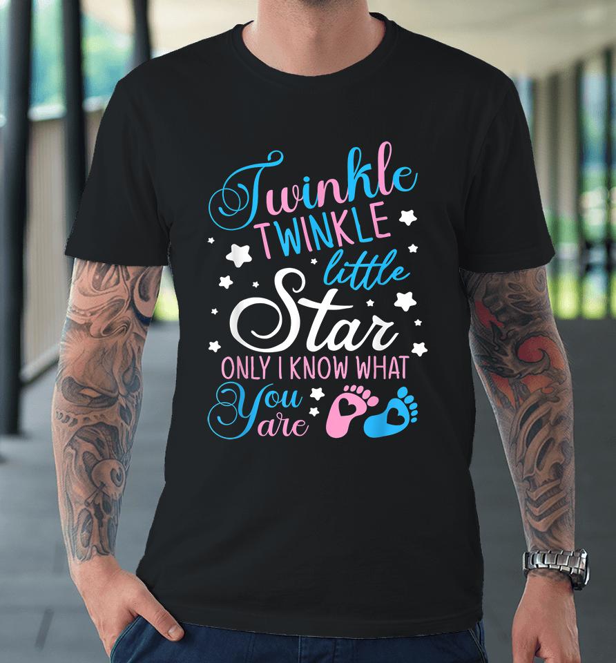 Twinkle Twinkle Little Star Only I Know What You Are Premium T-Shirt