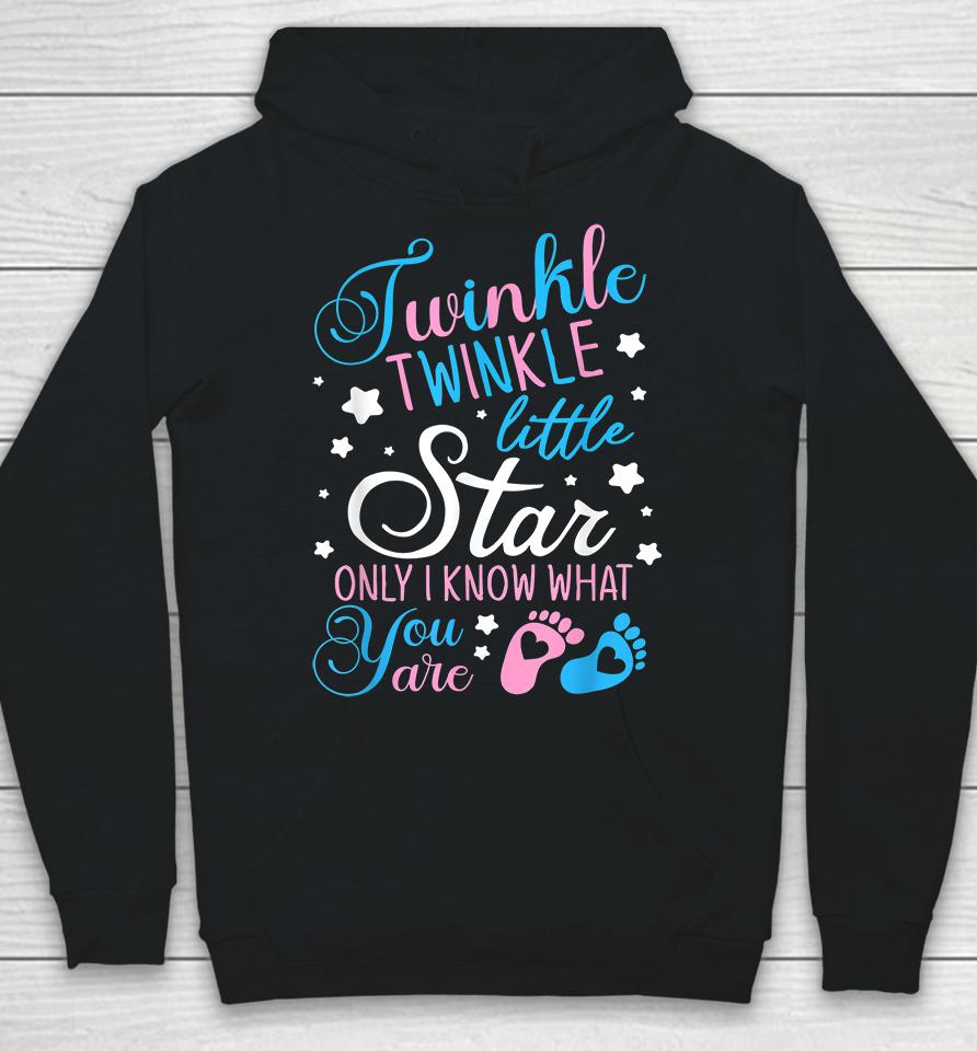 Twinkle Twinkle Little Star Only I Know What You Are Hoodie