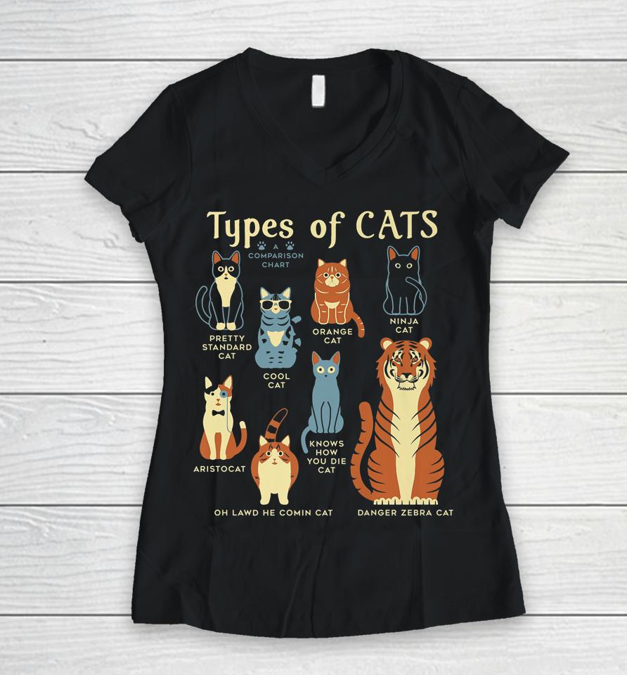 Types Of Cat Funny Comparison Cat Orange Cat Blue Cat Lovers Women V-Neck T-Shirt