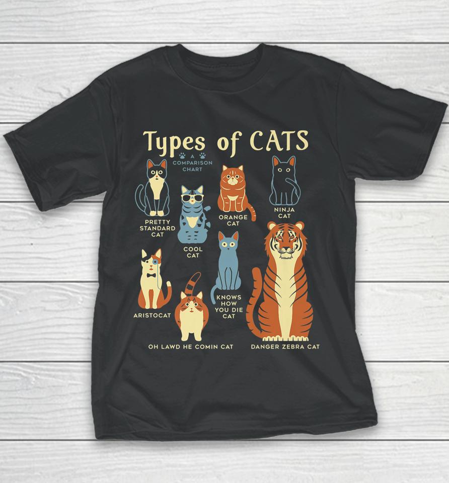 Types Of Cat Funny Comparison Cat Orange Cat Blue Cat Lovers Youth T-Shirt