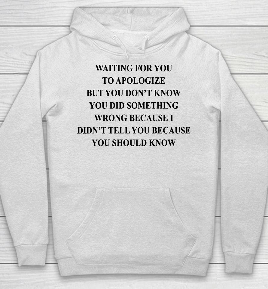 Waiting For You To Apologize But You Don't Know You Did Something Wrong Hoodie