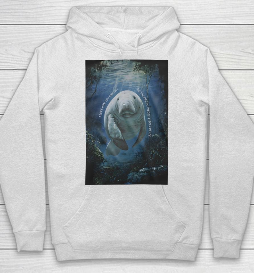 Waveygoods I Love How You Can Tell All The Pieces Pieces Pieces Of Me Hoodie