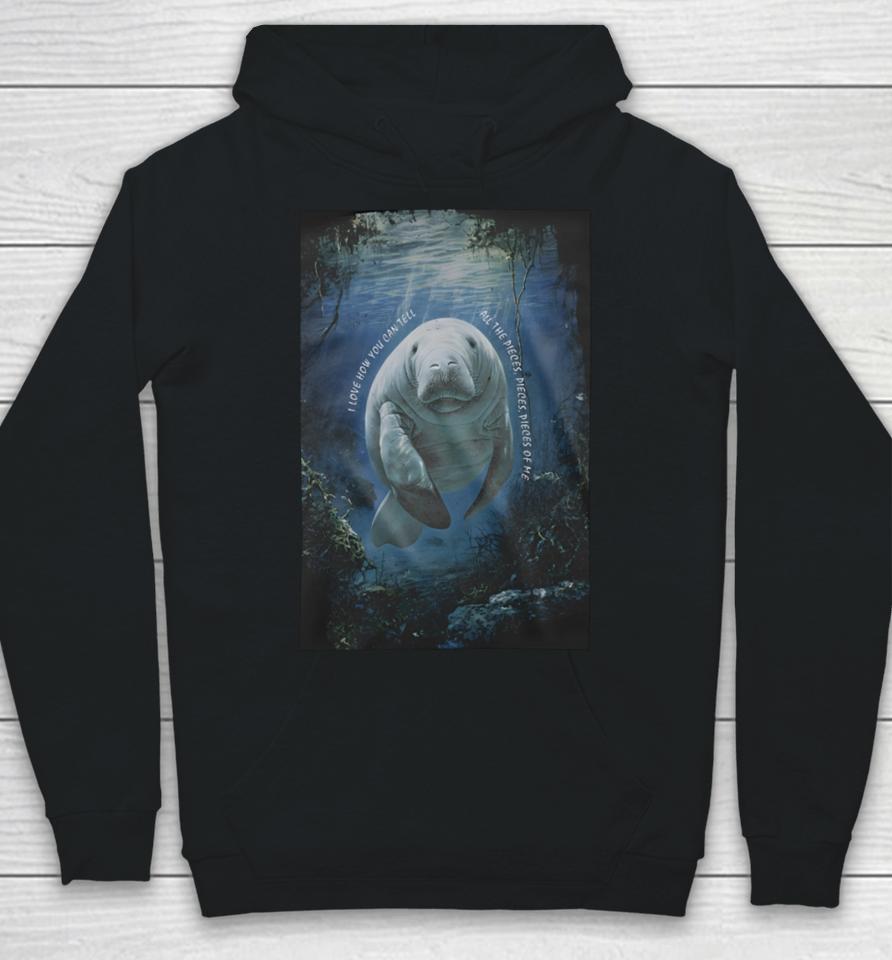 Waveygoods Store I Love How You Can Tell All The Pieces Pieces Pieces Of Me Hoodie