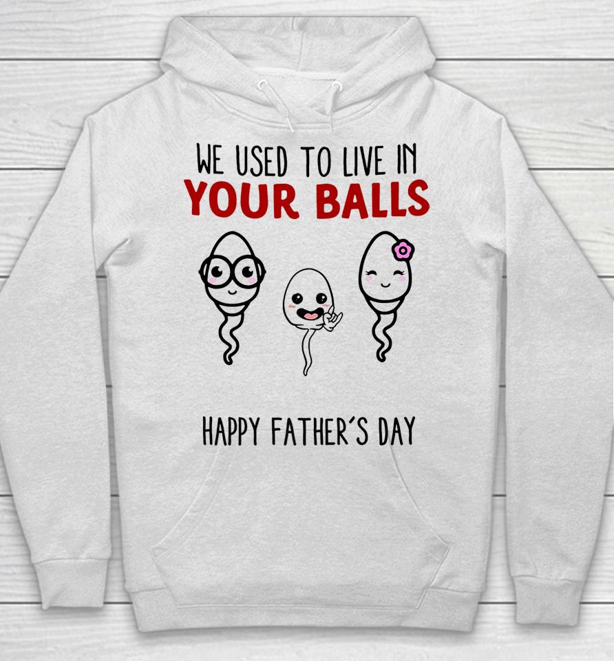 We Used To Live In Your Balls Happy Father's Day Funny Hoodie