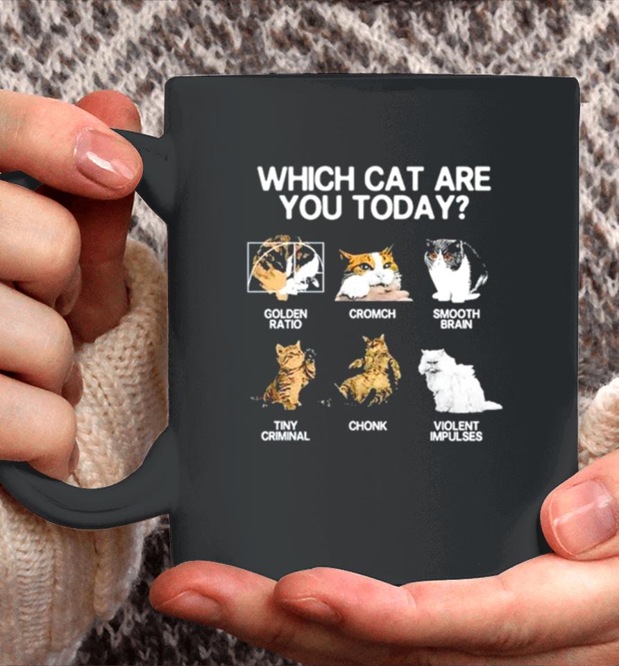 Which Cat Are You Today Golden Cromch Smooth Brain Tiny Criminal Chonk Violent Impulses Coffee Mug