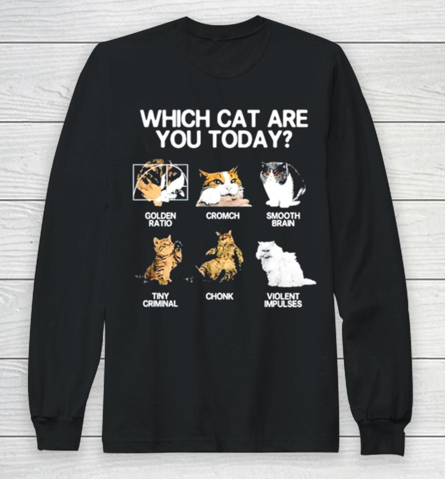 Which Cat Are You Today Golden Cromch Smooth Brain Tiny Criminal Chonk Violent Impulses Long Sleeve T-Shirt