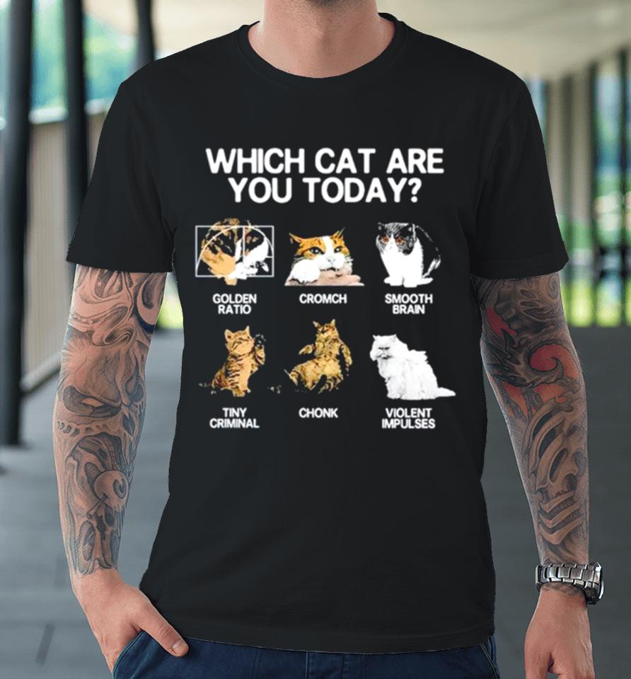 Which Cat Are You Today Golden Cromch Smooth Brain Tiny Criminal Chonk Violent Impulses Premium T-Shirt