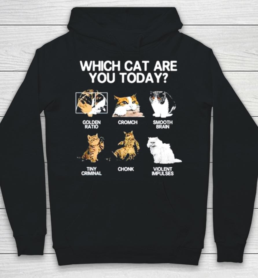 Which Cat Are You Today Golden Cromch Smooth Brain Tiny Criminal Chonk Violent Impulses Hoodie
