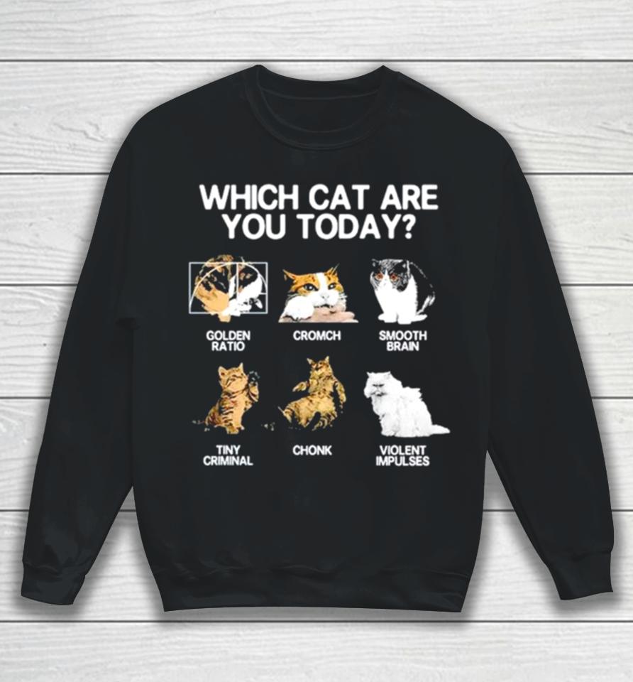 Which Cat Are You Today Golden Cromch Smooth Brain Tiny Criminal Chonk Violent Impulses Sweatshirt