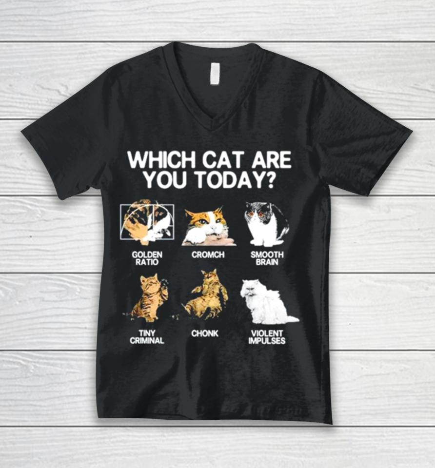 Which Cat Are You Today Golden Cromch Smooth Brain Tiny Criminal Chonk Violent Impulses Unisex V-Neck T-Shirt