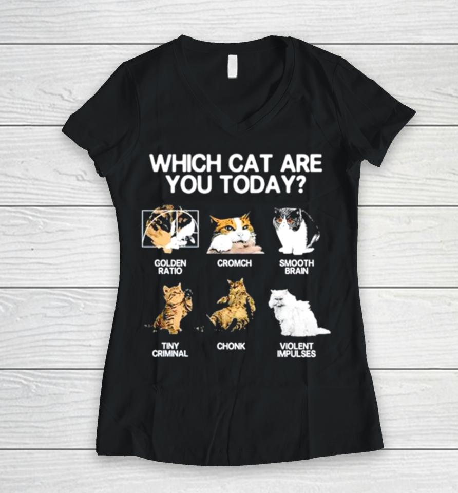 Which Cat Are You Today Golden Cromch Smooth Brain Tiny Criminal Chonk Violent Impulses Women V-Neck T-Shirt