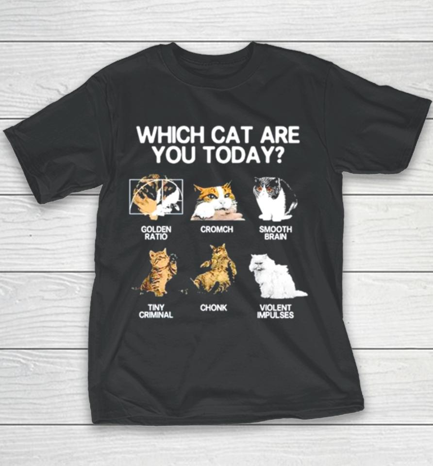 Which Cat Are You Today Golden Cromch Smooth Brain Tiny Criminal Chonk Violent Impulses Youth T-Shirt