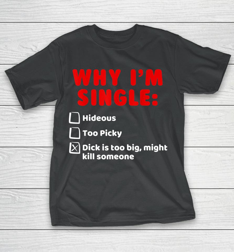 Why I'm Single Hideous Too Picky Dick Is Too Big T-Shirt
