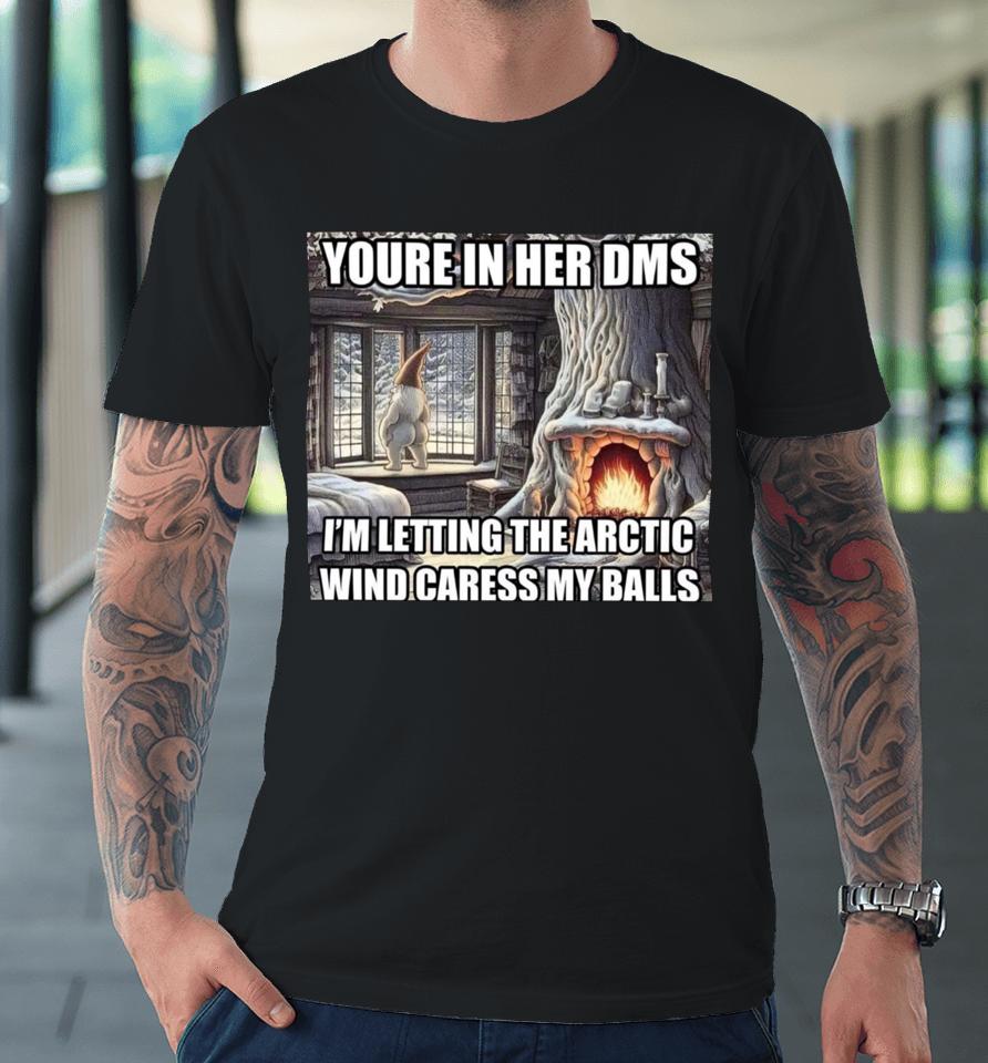 Youre In Her Dms I'm Letting The Arctic Wind Caress My Balls Premium T-Shirt