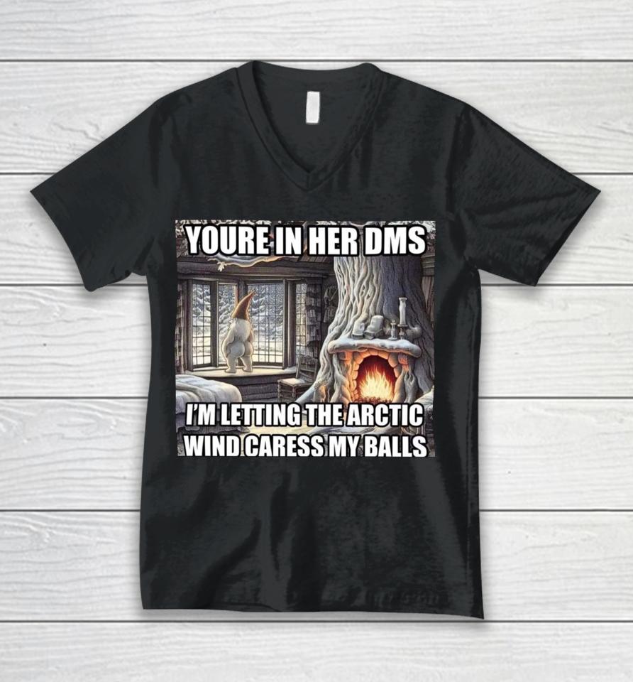 Youre In Her Dms I'm Letting The Arctic Wind Caress My Balls Unisex V-Neck T-Shirt