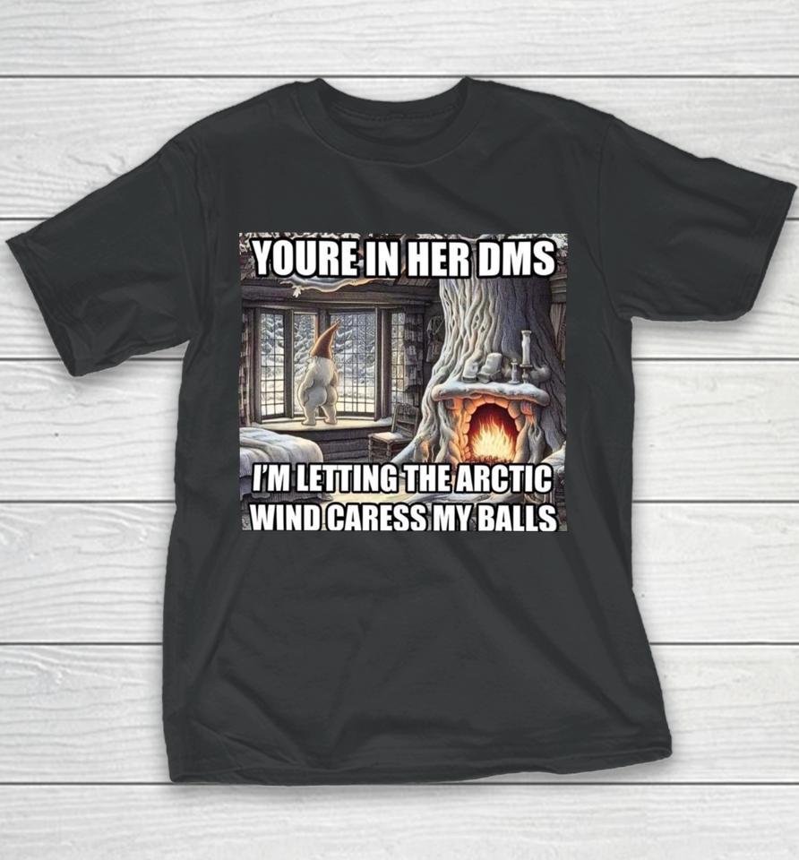 Youre In Her Dms I'm Letting The Arctic Wind Caress My Balls Youth T-Shirt